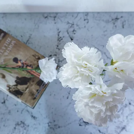 Sossinola 3* Steni Vala Alonissos